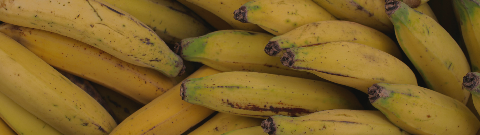 Banane plantain